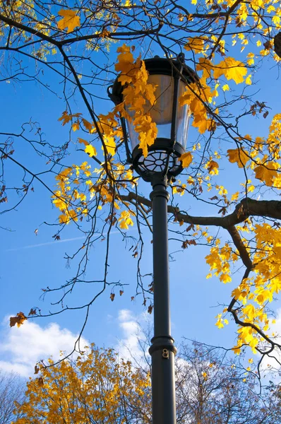 Sonbahar ağaçlarının arka planında sarı yapraklı ve mavi gökyüzlü şehir lambası.