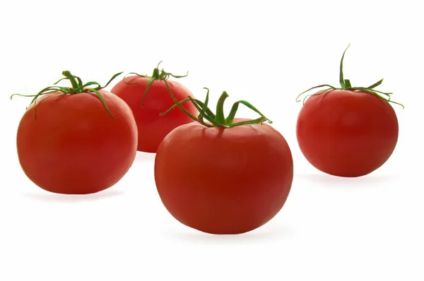 Quatro Tomates Maduros Vermelhos Fundo Isolado Branco Fechar — Fotografia de Stock