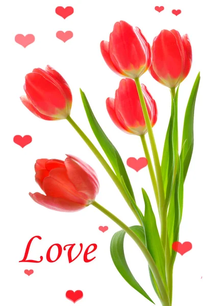 Valentine Day Beautiful Background Bouquet Red Bright Tulips Red Hearts — Stock Photo, Image