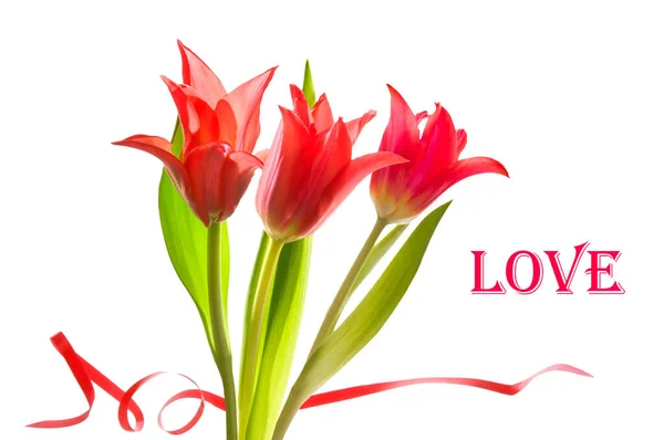 Saint Valentin Beau Fond Avec Bouquet Tulipes Rouges Vives Sur — Photo