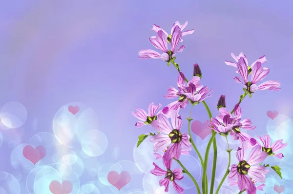 Walentynki Piękne Tło Bukietem Pięknych Liliowych Kwiatów Różowymi Sercami Bokeh — Zdjęcie stockowe