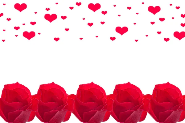 Валентинів День Чудове Тло Червоними Яскравими Трояндами Червоними Серцями Білому — стокове фото