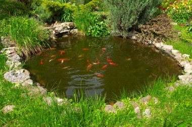 Güneşli bir günde bahçede dekoratif kırmızı balıklı küçük güzel bir gölet.