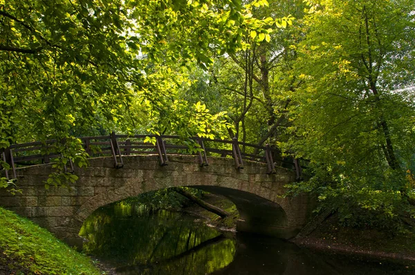 Vintage Hermoso Puente Piedra Entre Grandes Árboles Verdes Parque Ciudad —  Fotos de Stock