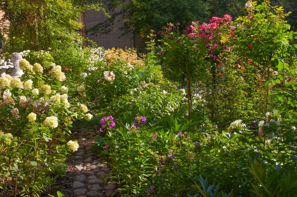 Piękne Białe Kwiaty Hortensji Różowe Róże Fioletowy Flox Jesiennym Ogrodzie Zdjęcia Stockowe bez tantiem