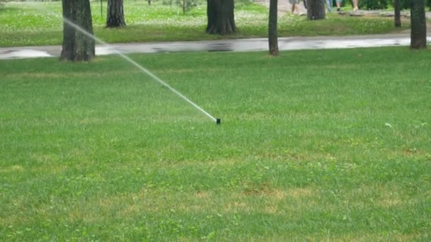 公園内の芝生のスプリンクラーシステム 芝生の散水 公園の緑の芝生に水を振りかける — ストック動画