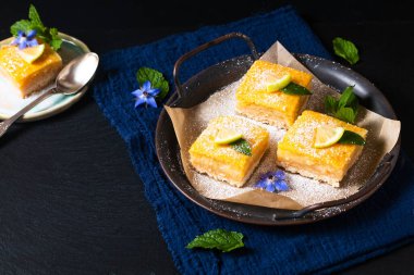Fotokopi alanı olan ev yapımı limonlu pasta konsepti