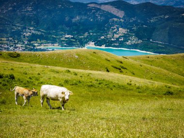 Hills İtalyan peyzaj