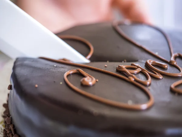 sacher torte bir kesim Close-Up.