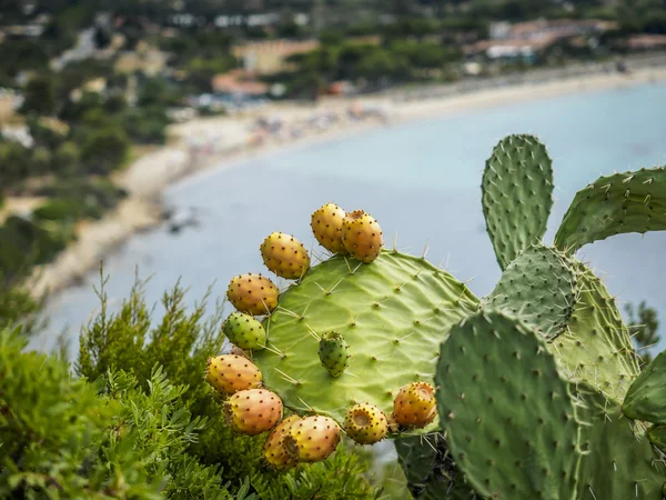 Sardenha paisagem — Fotografia de Stock