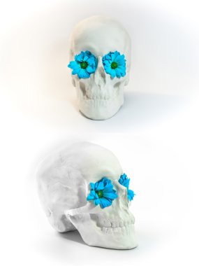 Kafatası mavi çiçekli