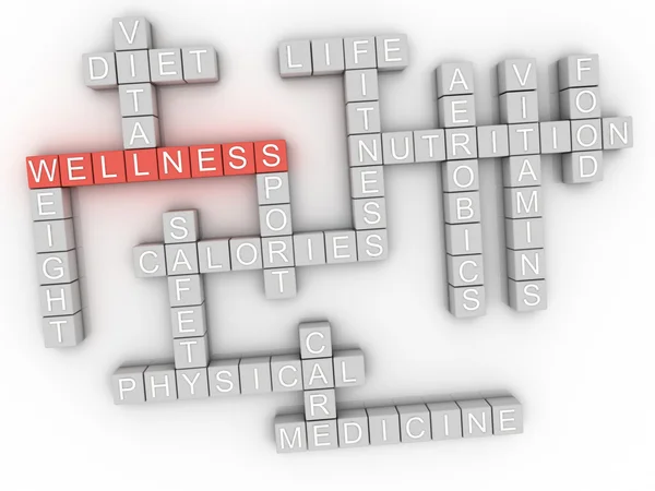 3d image Wellness word cloud concept — Stock Photo, Image