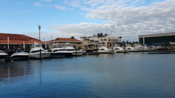 Panama Nov Marina Flamenco Island Med Båtar Panama City Panama — Stockvideo