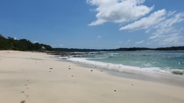 Stranden Pearl Islands Panama Pearl Island Ett Naturreservat Helt Eget — Stockvideo