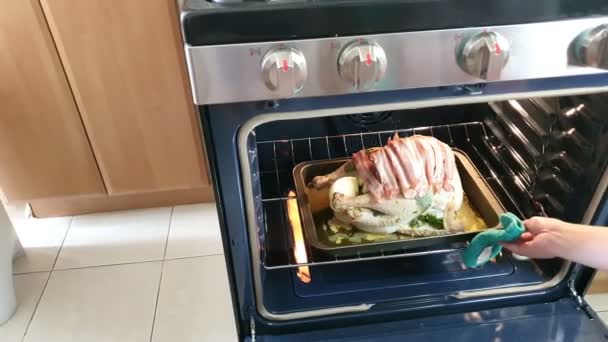 手把火鸡放进烤箱放在厨房的底座上 节日庆祝用填饱肚子的火鸡烹调 — 图库视频影像