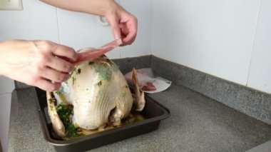 Çiğ hindi bayram yemeği ya da kutlama yemeği için hazırlanıyor..