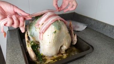 Çiğ hindi bayram yemeği ya da kutlama yemeği için hazırlanıyor..