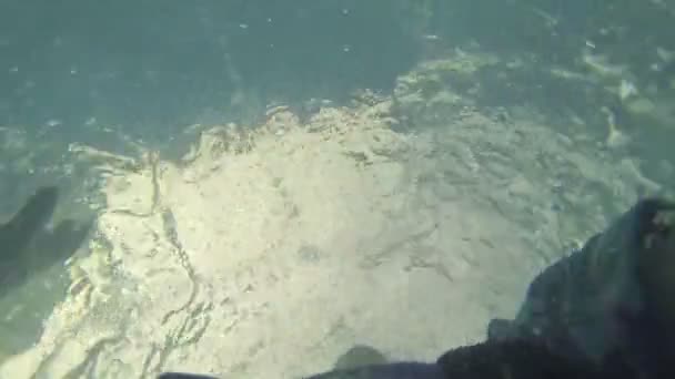 Vista de uma menina cair e afogar-se na água — Vídeo de Stock