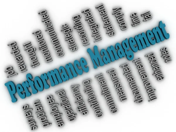 3d imagen Performance Management conceito nuvem de palavras fundo — Fotografia de Stock