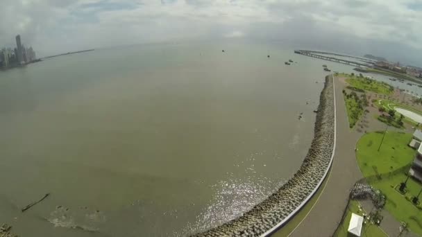 Aerial view of a beach in a coast — Stock Video