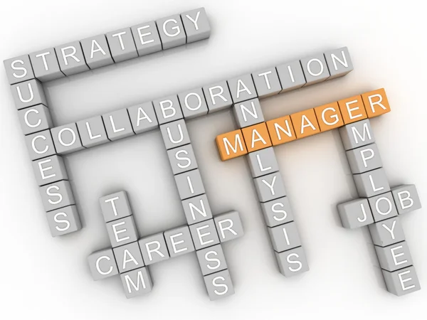 3d image Manager  issues concept word cloud background — Stock Photo, Image