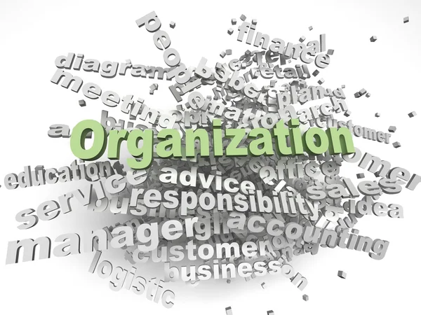 3d imagen Organization  issues concept word cloud background — Stock Photo, Image