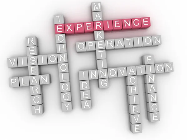 3d image Experience  issues concept word cloud background — Stock Photo, Image