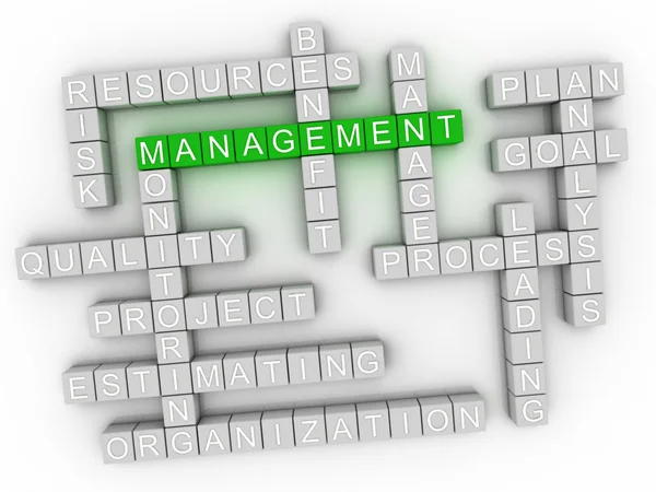 3D beeld Management word cloud concept — Stockfoto