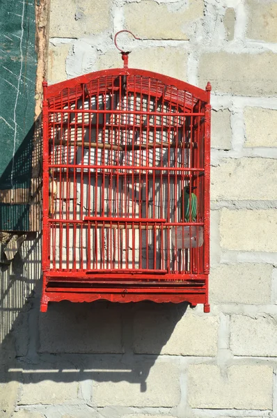 Pássaro em uma jaula — Fotografia de Stock