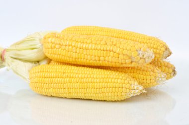 Beyaz arka plan üzerinde Mısır adet