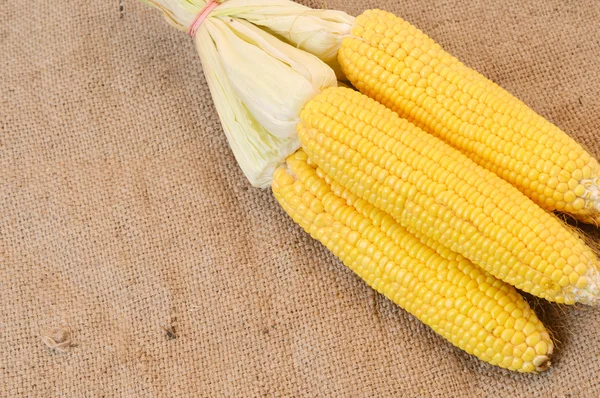 Corn pieces on the brown sackcloth — Stock Photo, Image