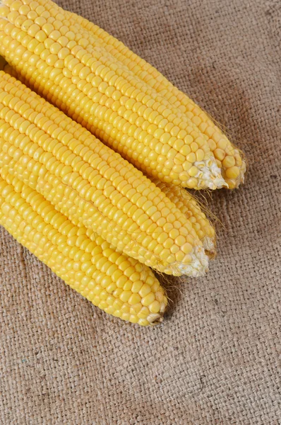 Corn pieces on the brown sackcloth — Stock Photo, Image