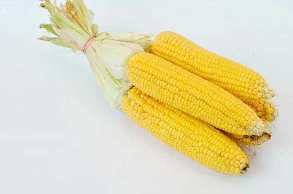 Corn pieces on the white background — Stock Photo, Image