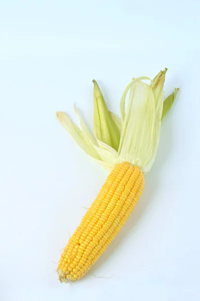 Pedaços de milho no fundo branco — Fotografia de Stock