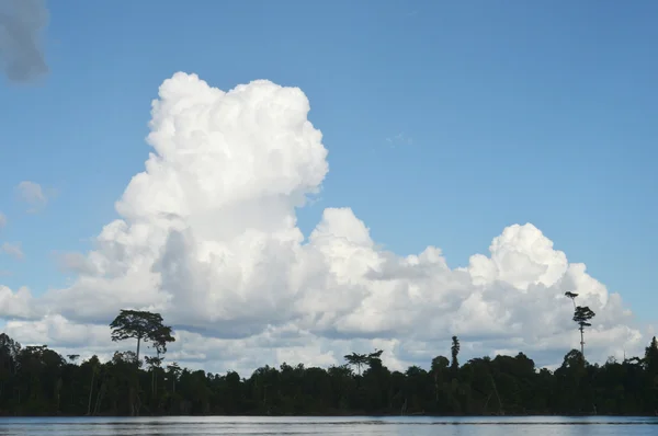 Пространство белых облаков на небе — стоковое фото