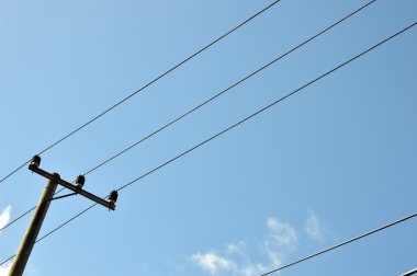 Elektrik direkleri mavi gökyüzü karşı