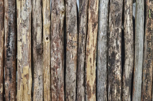 Pattern on logs background — Stock Photo, Image