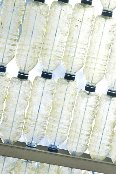 Garrafa Plástico Fundo Padrão Textura Detalhes — Fotografia de Stock