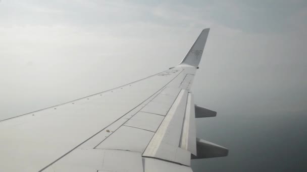 Tarakan Indonésia Agosto 2016 Vista Janela Avião Que Aterrissa Aeroporto — Vídeo de Stock