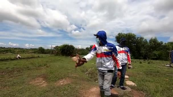 Tarakan Indonesia June 2020 Racing Pigeon Competition Followed Racing Pigeon — 图库视频影像