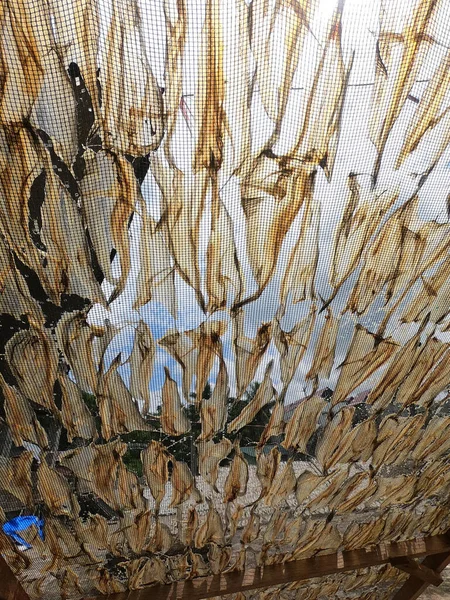 Διαδικασία Ξήρανσης Των Λεπτών Ψαριών Στα Δίχτυα — Φωτογραφία Αρχείου