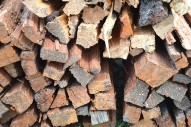 arka plan günlükleri