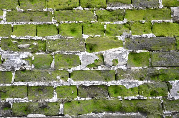 Fort Rotterdam, Makassar, Indonesië — Stockfoto