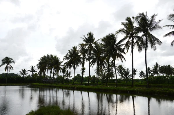 Falu panaroma Dél-Sulawesi — Stock Fotó