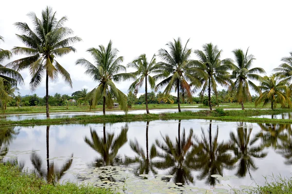 Aldeia panaroma em Sulawesi do Sul — Fotografia de Stock