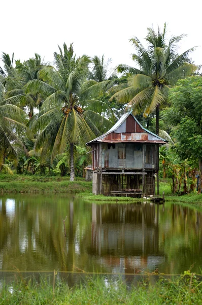 Aldeia panaroma em Sulawesi do Sul — Fotografia de Stock