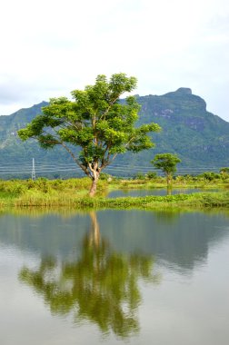 köy panaroma Güney Sulawesi üzerinde