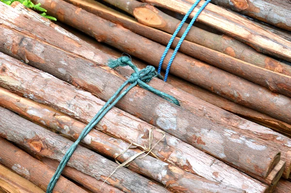 Baumstämme Hintergrund — Stockfoto