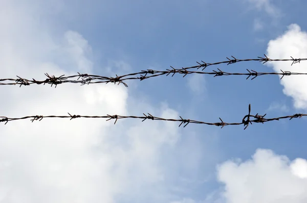 Iron wire fence — Stock Photo, Image