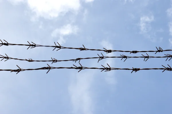 Iron wire fence — Stock Photo, Image